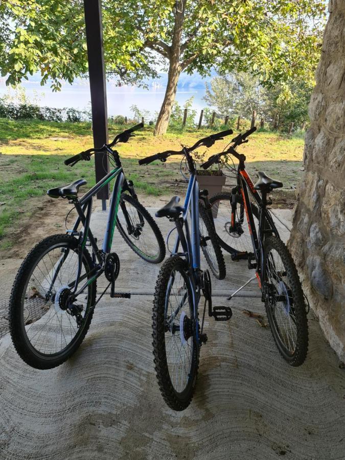 Kuca Za Odmor-Zelena Oaza Hotel Golubac Luaran gambar